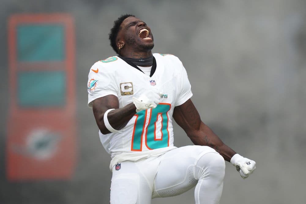 Today's Daily Special: Dolphins Are A Hot Bet