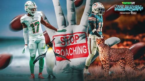 Fantasy Football Takeaways: Week 10 Utilization Report