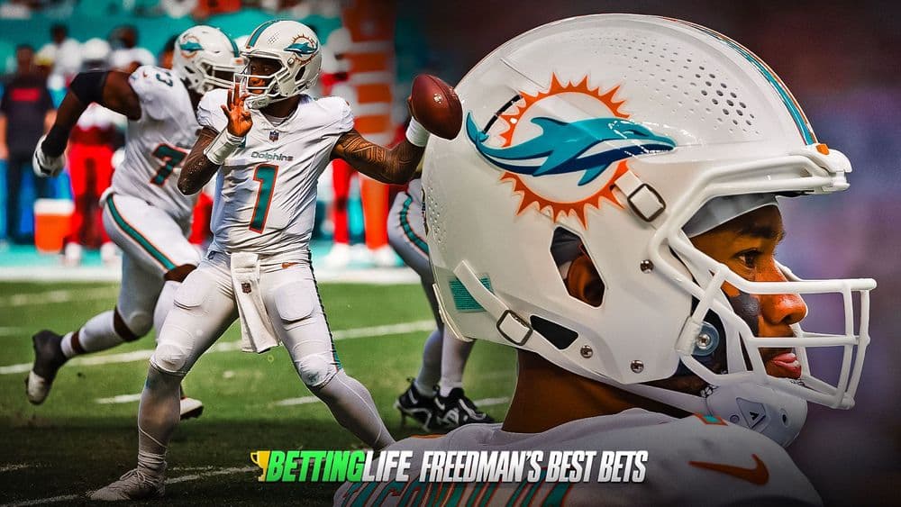 NFL Bets For Week 12: Swimming With The Dolphins